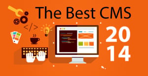 best cms 2014