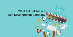 web development company