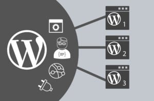 what is wordpress multisite