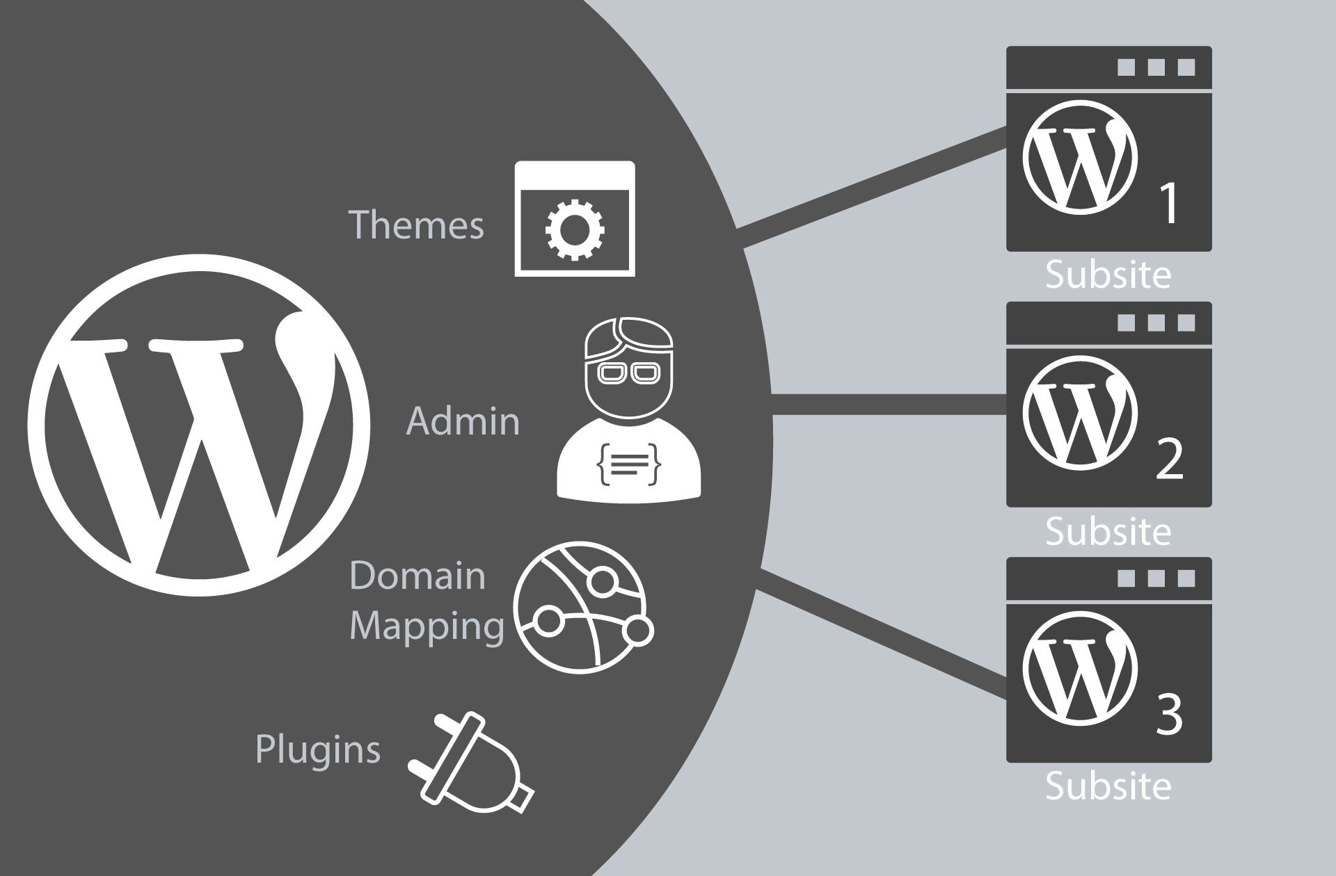 understanding a WordPress Multisite visual diagram.