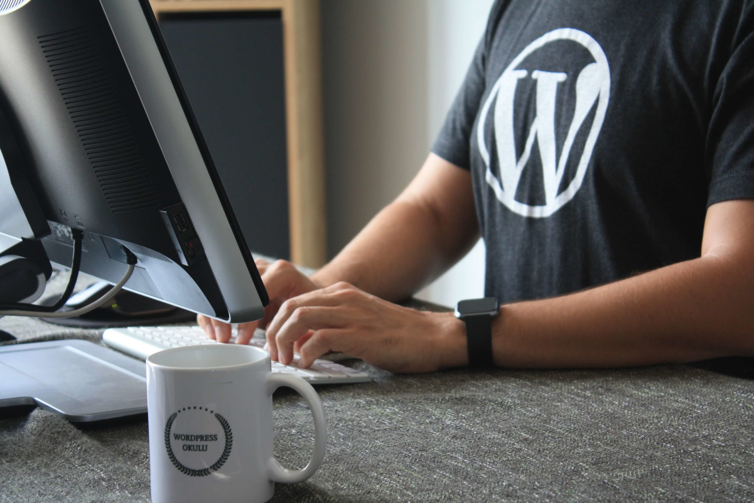 WordPress Multisite franchise website development.